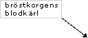 Bröstkorgens blodkärl