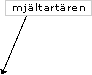 Mjältartären