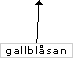 Gallblåsan
