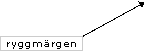 Ryggm&auml;rgen