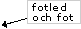 Fotled och fot